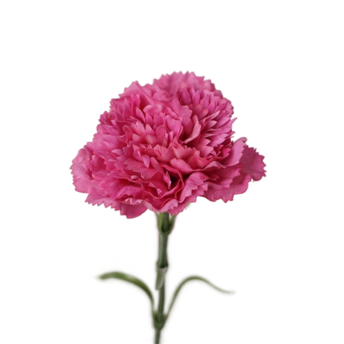 Real Touch Carnation Hot Pink Image