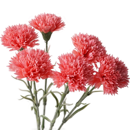 Real Touch Carnation Red Image