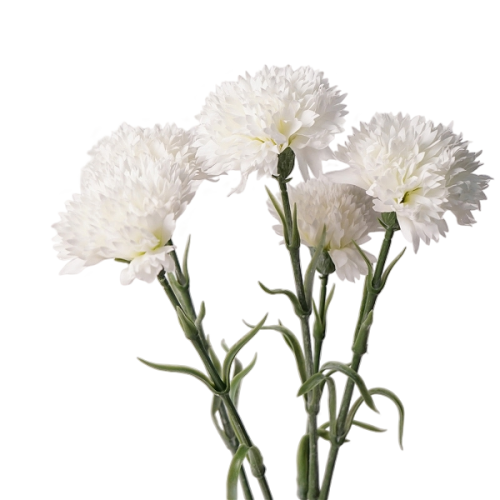 Real Touch Carnation White Image