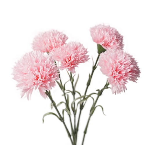 Real Touch Carnation Pink Image