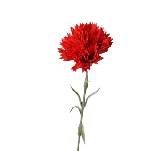 Real Touch Carnation Featured Image