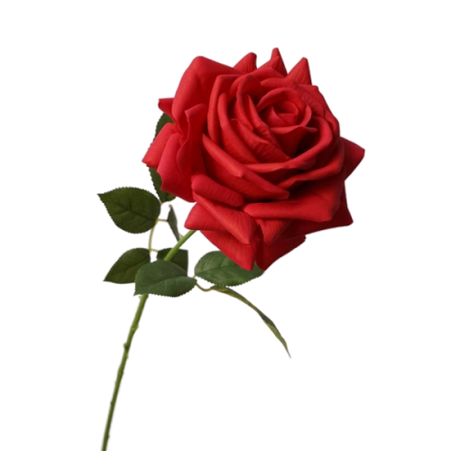 Moisturizing Single Turkish Roses Featured Image