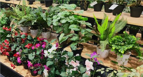 The Art and Innovation of Artificial Blooms Featured Image