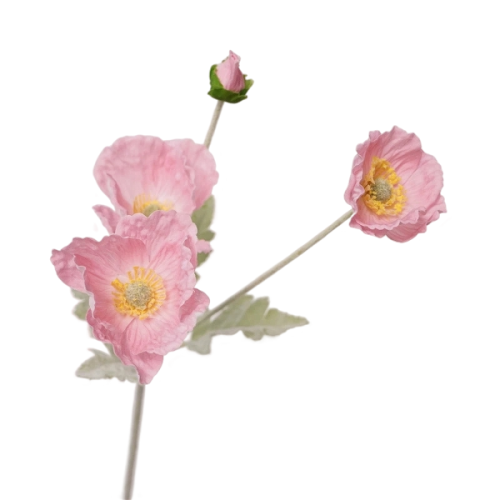 4 Heads of Hand Moisturized Eustoma Featured Image