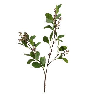 Flower Stems Featured Image
