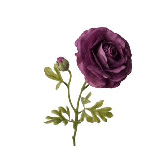 Colorfast Flowers Featured Image