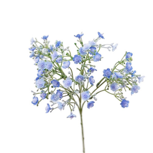 Real Touch Gypsophila Featured Image