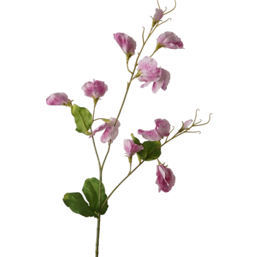 Real Touch Sweet pea Featured Image