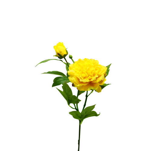 Real Touch Peony Featured Image