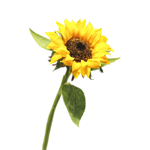 Real Touch Sunflowers Featured Image