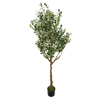 Artificial Tree Featured Image