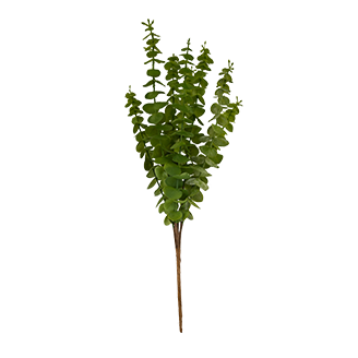 Leaf Bundle Featured Image