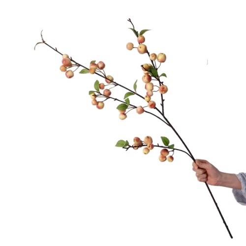 Pretty Apple Stem Featured Image