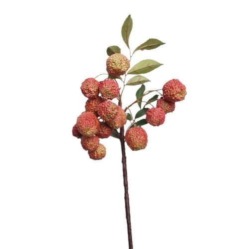 litchi Featured Image