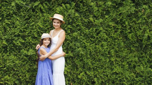 Artificial Plant Wall Ideas for Businesses: A Trade-Ready Guide Featured Image