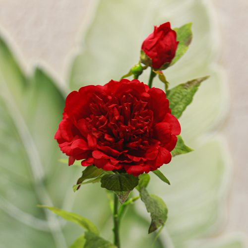 Real Touch Moisturizing 2-headed Peony Red Image