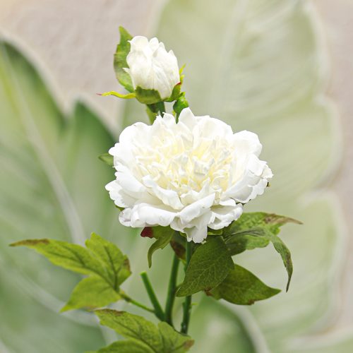 Real Touch Moisturizing 2-headed Peony White Image