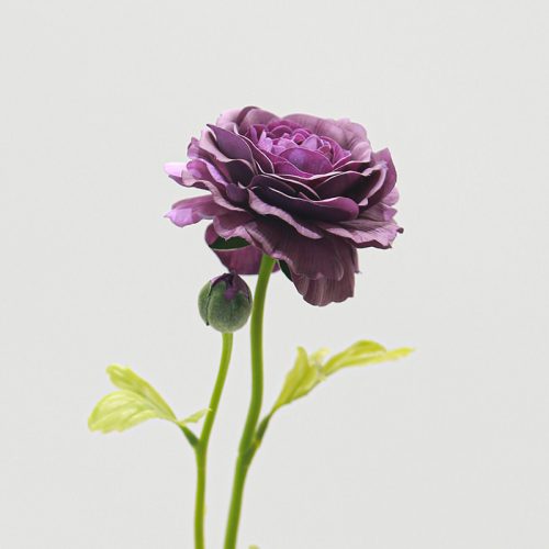 Real Touch Moisturizing 2-headed Ranunculus Purple Image