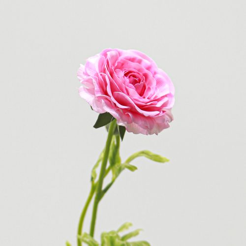 Real Touch Moisturizing 2-headed Ranunculus Pink Image