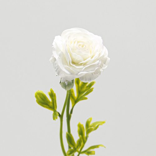 Real Touch Moisturizing 2-headed Ranunculus White Image