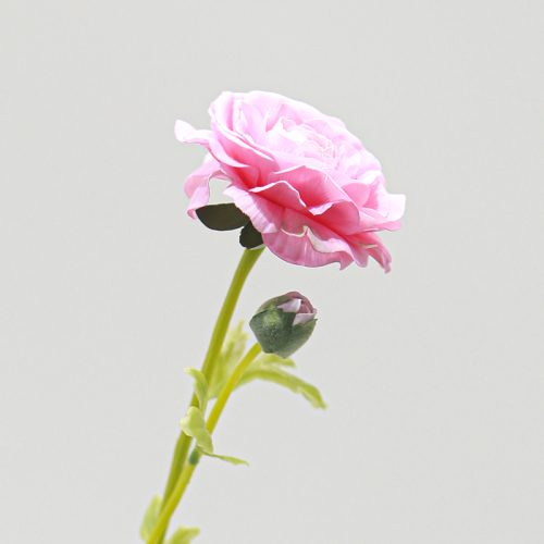Real Touch Moisturizing 2-headed Ranunculus Light pink Image