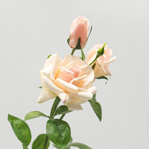 Real Touch Moisturizing 3-headed Rugosa Rose Champagne Image