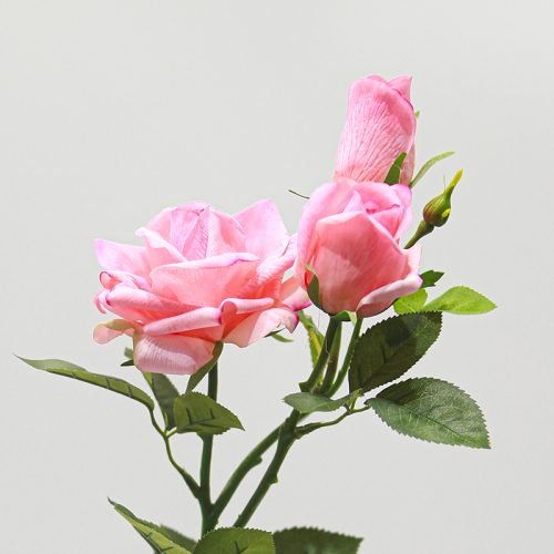 Real Touch Moisturizing 3-headed Rugosa Rose Pink Image