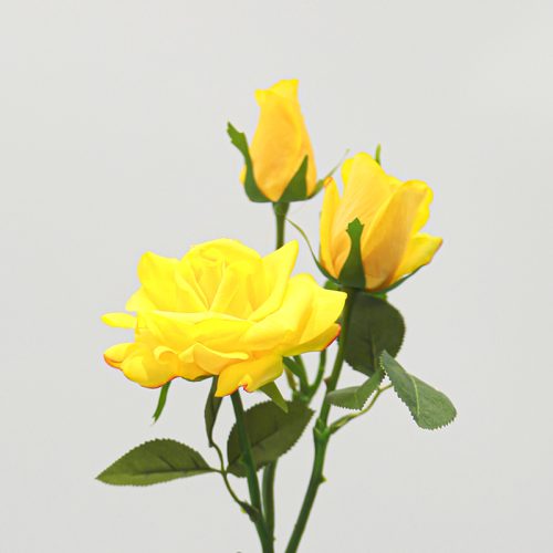 Real Touch Moisturizing 3-headed Rugosa Rose Yellow Image