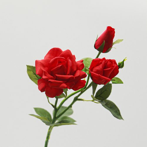 Real Touch Moisturizing 3-headed Rugosa Rose Featured Image