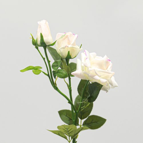 Real Touch Moisturizing 3-headed Rugosa Rose Pale Pink Image
