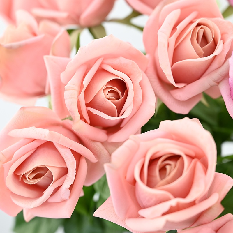 Real Touch Moisturizing Gemini Rose