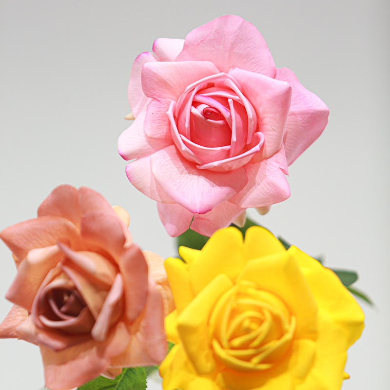Real Touch Moisturizing Austin Rose