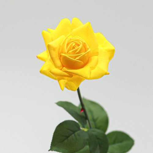 Real Touch Moisturizing Austin Rose Yellow Image