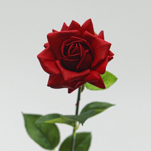 Real Touch Moisturizing Austin Rose Featured Image