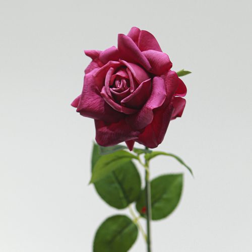 Real Touch Moisturizing Austin Rose Burgundy Image