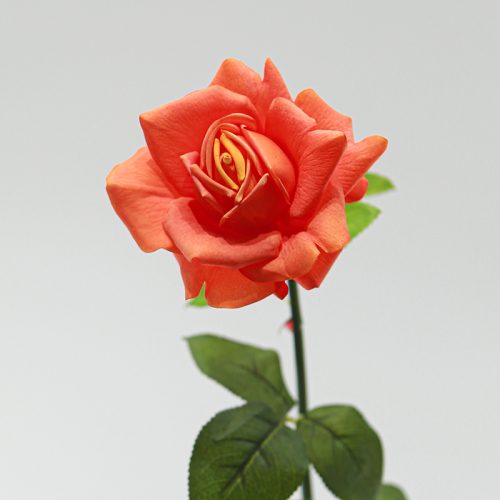 Real Touch Moisturizing Austin Rose Orange Image