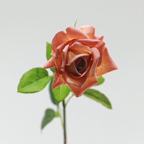 Real Touch Moisturizing Austin Rose brown Image