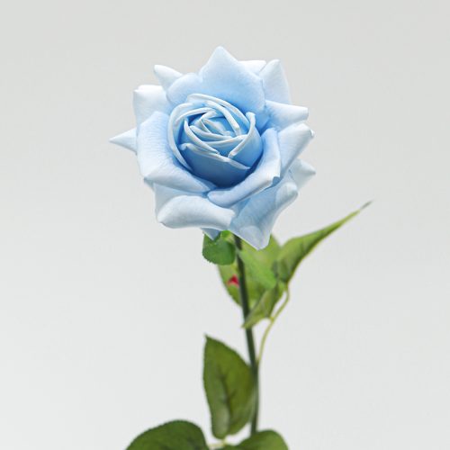 Real Touch Moisturizing Austin Rose Blue Image