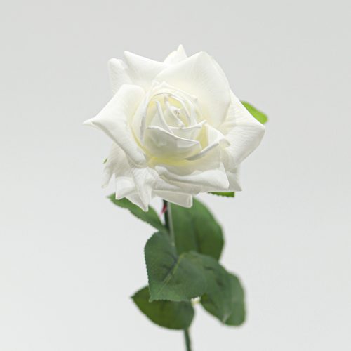 Real Touch Moisturizing Austin Rose White Image