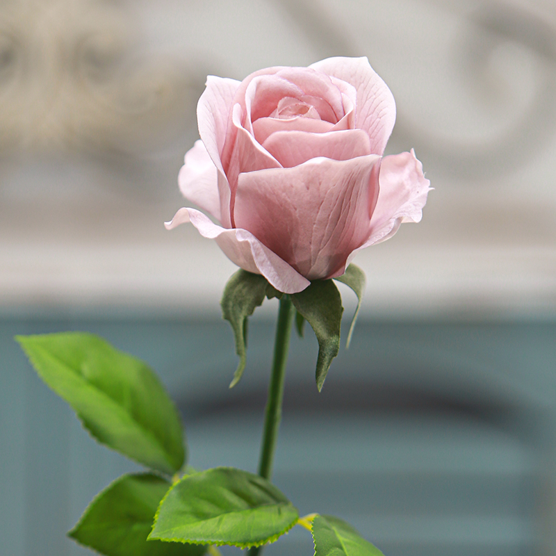 Real Touch Moisturizing Seasong Rose