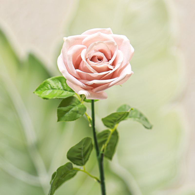 Real Touch Moisturizing Corolla Rose