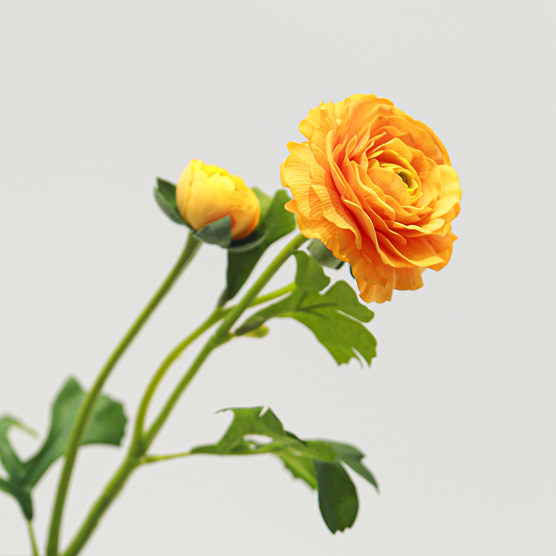 Real Touch Moisturizing 3-headed Ranunculus