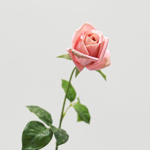 Real Touch Moisturizing Gemini Rose Peach Image