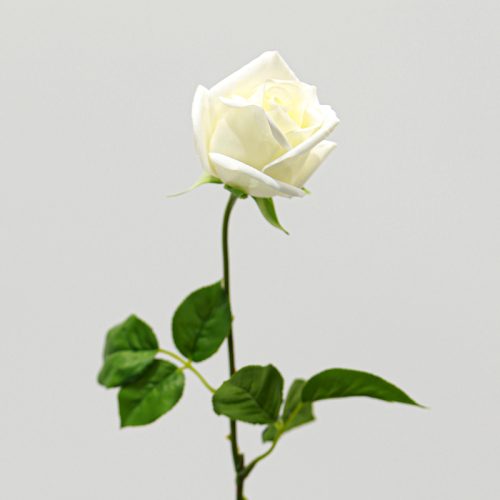 Real Touch Moisturizing Gemini Rose White Image