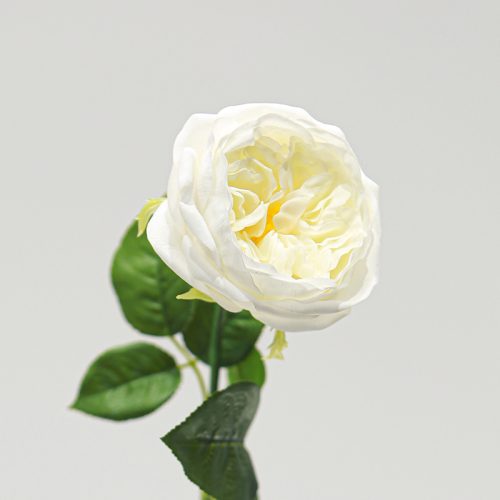 Real Touch Moisturizing Elsa Rose White Image