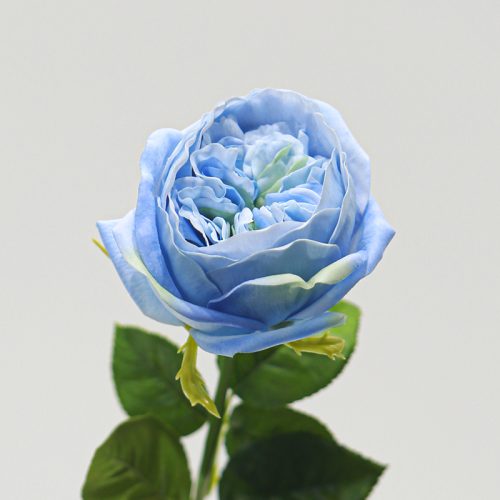 Real Touch Moisturizing Elsa Rose Blue Image