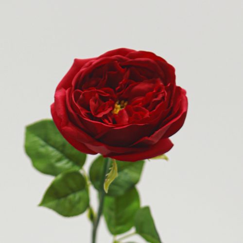 Real Touch Moisturizing Elsa Rose Ruby Image