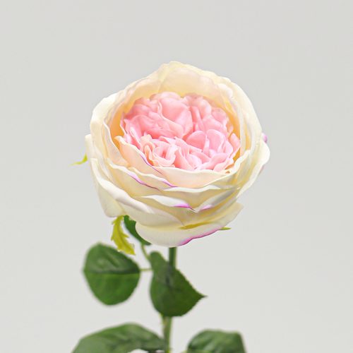 Real Touch Moisturizing Elsa Rose Featured Image