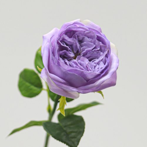 Real Touch Moisturizing Elsa Rose Purple Image