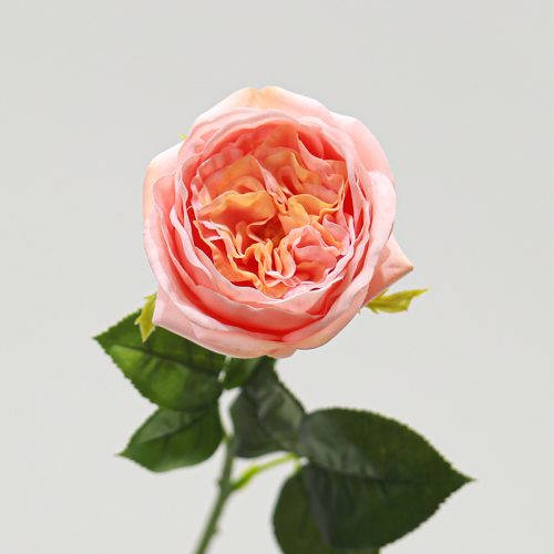 Real Touch Moisturizing Elsa Rose Peach Image